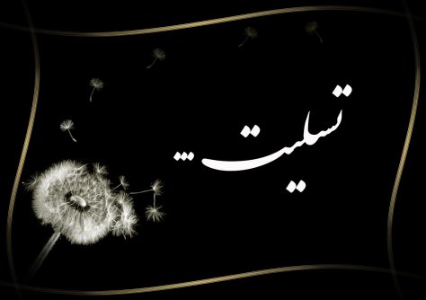 پیام تسلیت به علی فیض الله زاده پیام تسلیت به علی فیض الله زاده