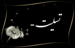 پیام تسلیت در پی درگذشت منوچهر شفقتیان