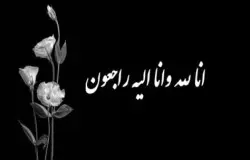 پیام تسلیت میرشاد ماجدی به غلامرضا نوروزی