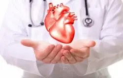 جدول زمانبندی تست های پزشکی پیش فصل لیگ برتر